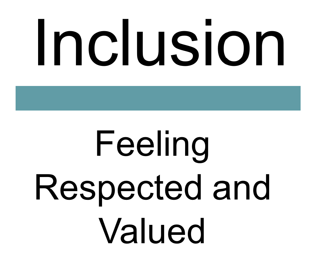 Inclusion - feeling respected and valued